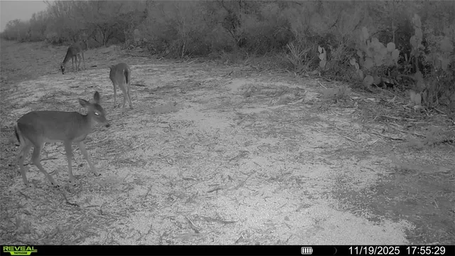 a view of a backyard of the house