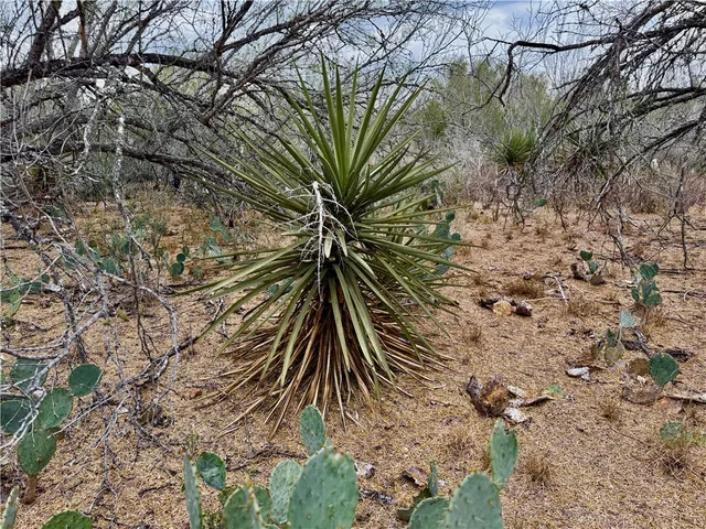 a view of a room with a wooden floor