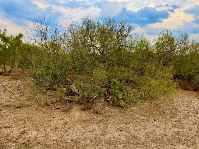 a view of a yard with an outdoor space