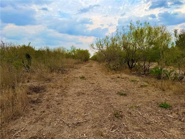 a view of a yard with trees in front of the house