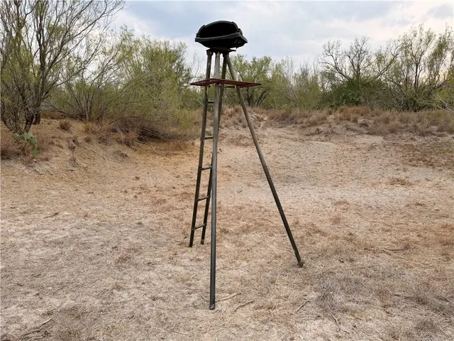 $219,900 | 0 Cameron Lane - 40 Acres, Fowlerton, TX 78021