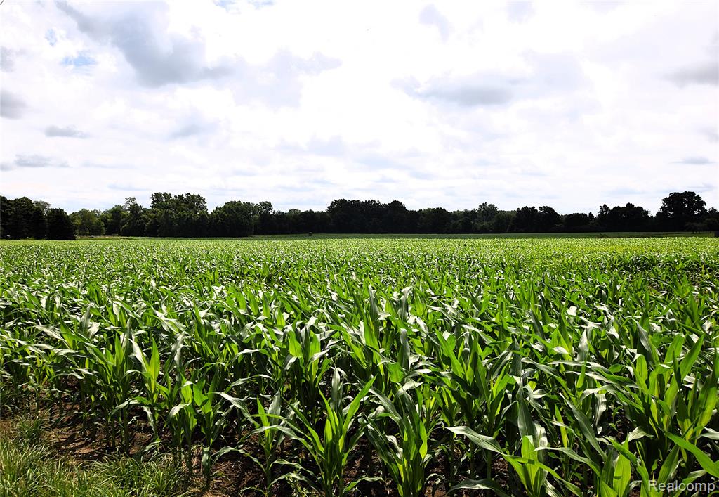 V/l North Irish Road Millington, MI 48746 - Photo 2 of 4