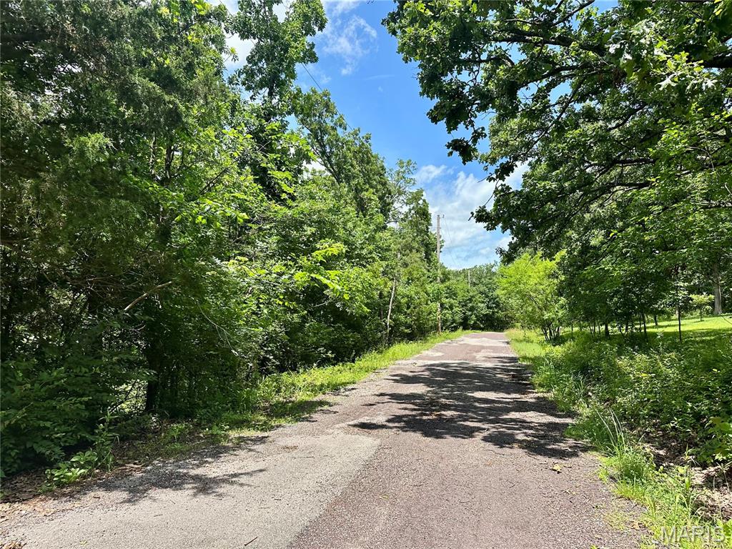 Tbd Bluebird Lane Rolla, MO 65401 - Photo 4 of 5