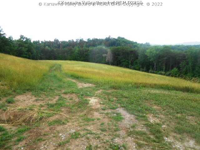995 Mud Lick Road Given, WV 25245 - Photo 7 of 16 Land/Lot.