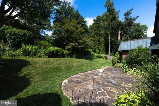 a view of a back yard