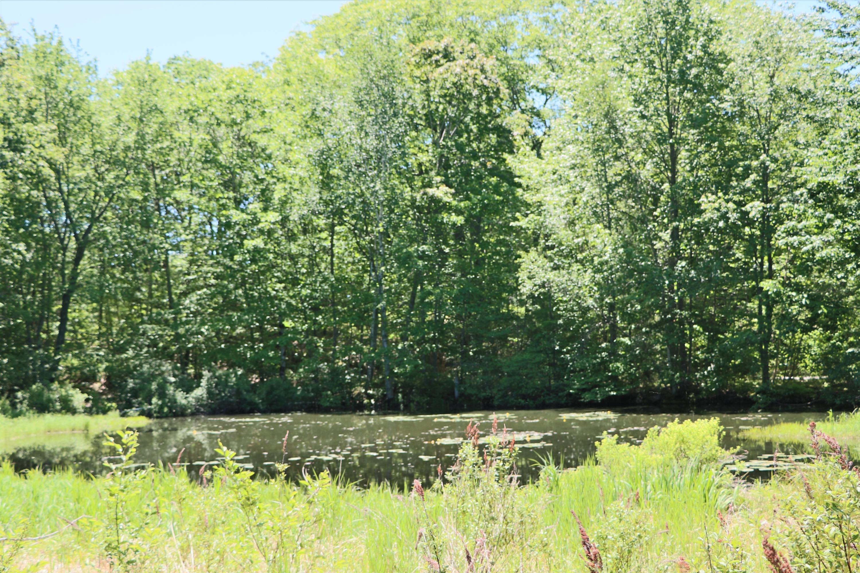 277 Stoney Brook Road Phippsburg, ME 04562 - Photo 27 of 36 IMG_0142