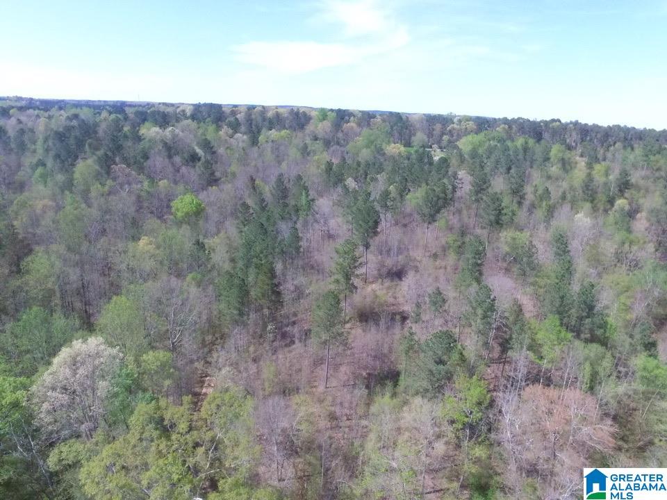 0 County Road 60, Unit 1 Heflin, AL 36264 - Photo 13 of 14