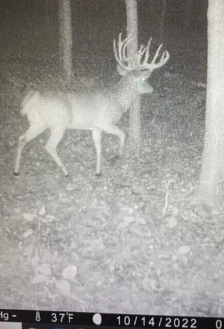 $895,000 | Lot 2 Sleepy Hollow, Neosho, WI 53059