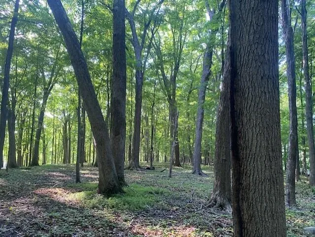 $895,000 | Lot 2 Sleepy Hollow, Neosho, WI 53059