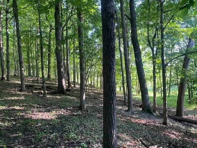 $895,000 | Lot 2 Sleepy Hollow, Neosho, WI 53059