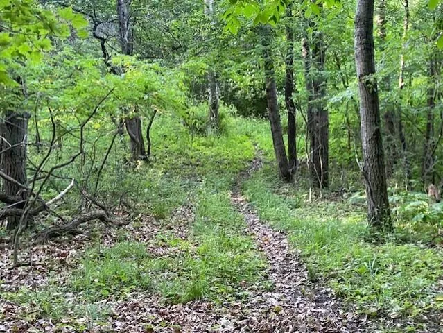 $895,000 | Lot 2 Sleepy Hollow, Neosho, WI 53059