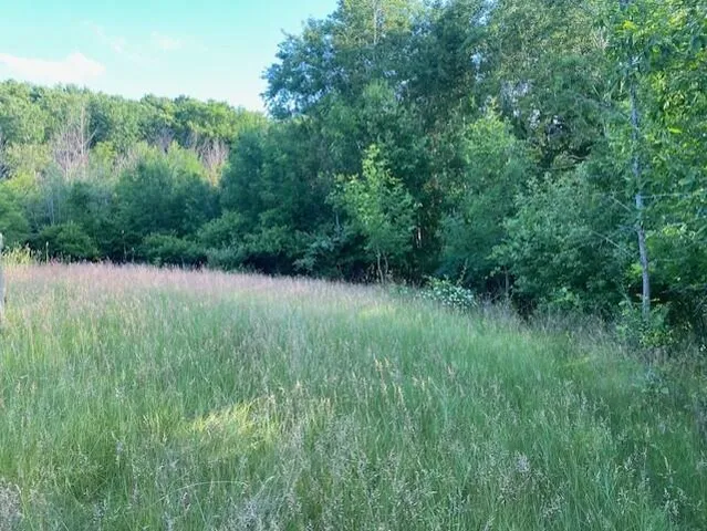 $895,000 | Lot 2 Sleepy Hollow, Neosho, WI 53059