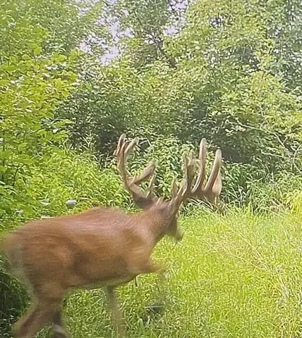 $895,000 | Lot 2 Sleepy Hollow, Neosho, WI 53059