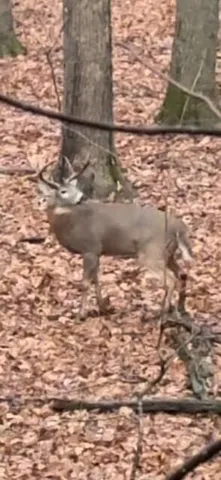 $895,000 | Lot 2 Sleepy Hollow, Neosho, WI 53059