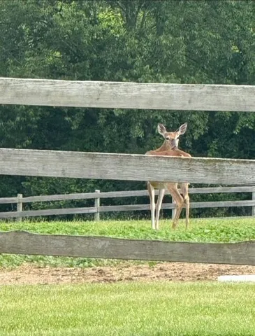 $895,000 | Lot 2 Sleepy Hollow, Neosho, WI 53059