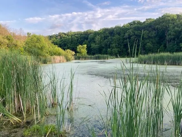 $895,000 | Lot 2 Sleepy Hollow, Neosho, WI 53059