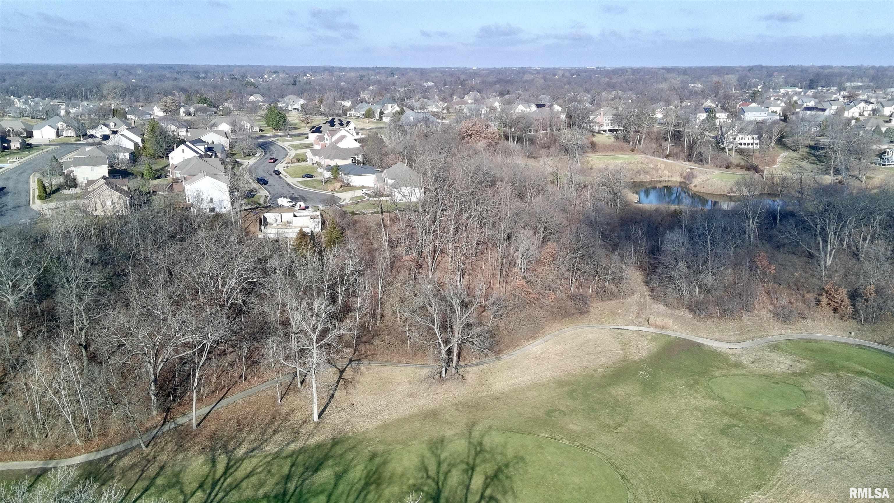 4100 Vistaridge Court Peoria, IL 61615 - Photo 9 of 11