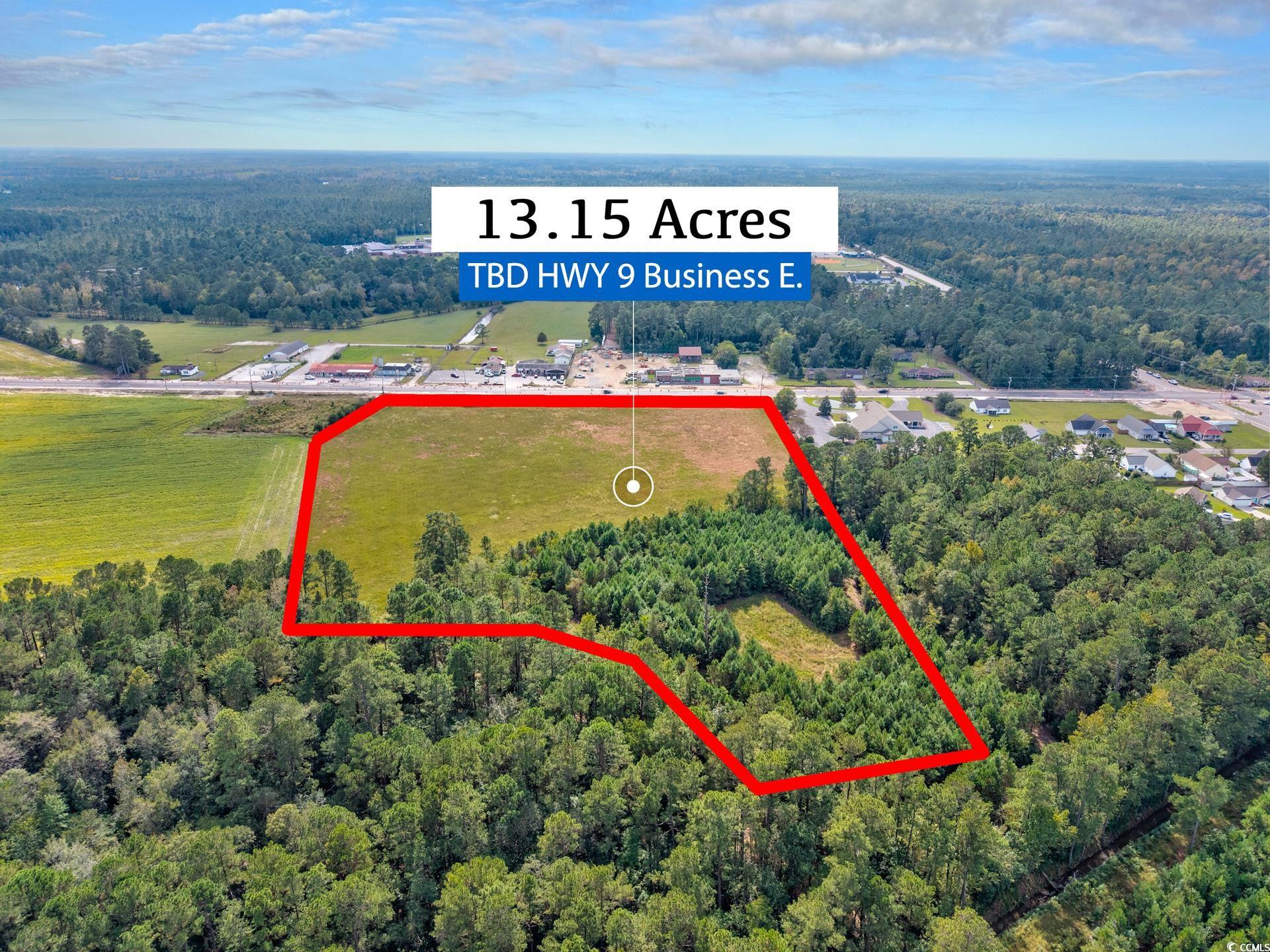 9 Highway 9 Business Loris, SC 29569 - Photo 11 of 24 View of property location featuring property parcel outlined