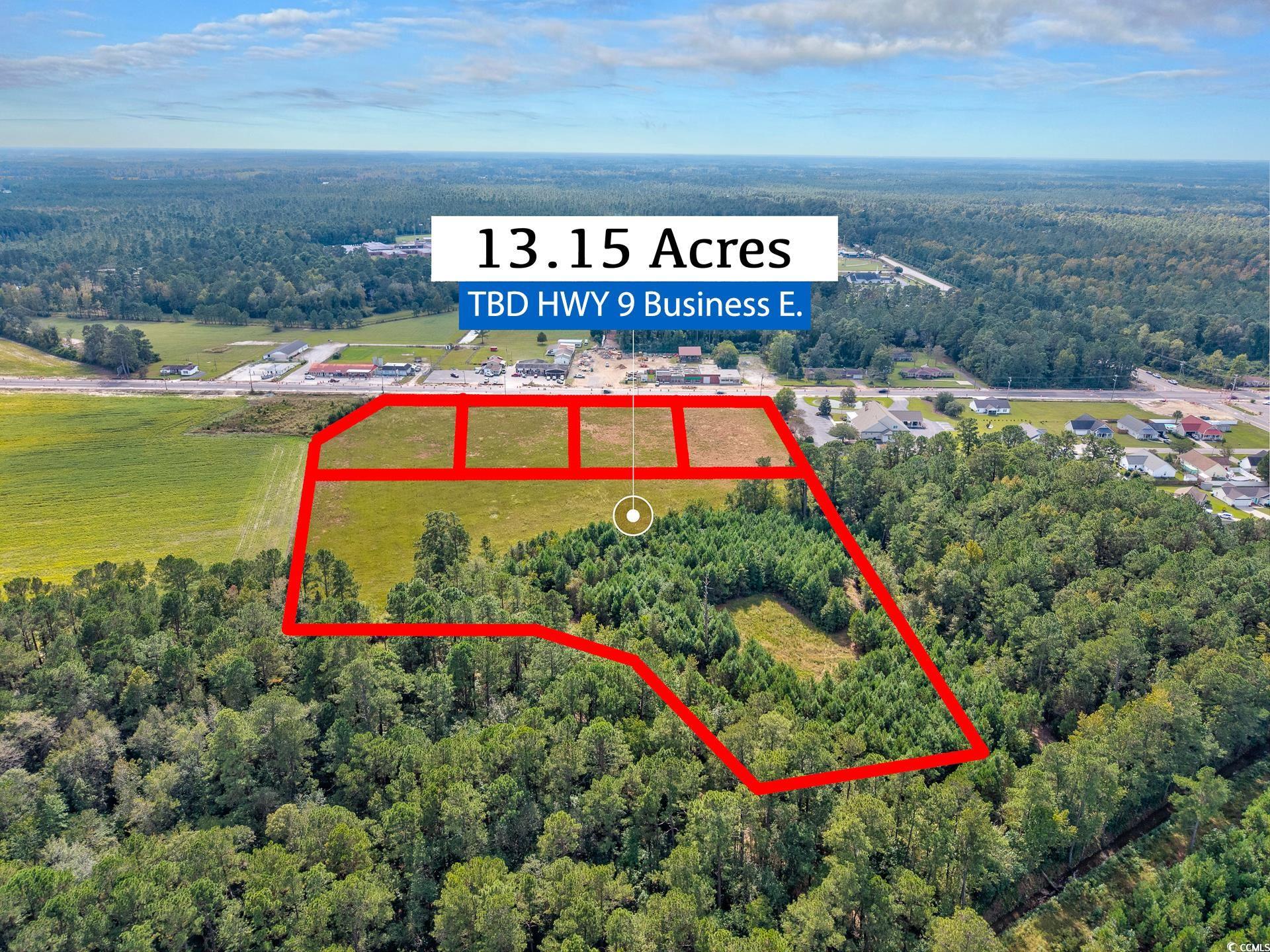9 Highway 9 Business Loris, SC 29569 - Photo 12 of 24 Aerial overview of property's location with a heavily wooded area and property parcel outlined