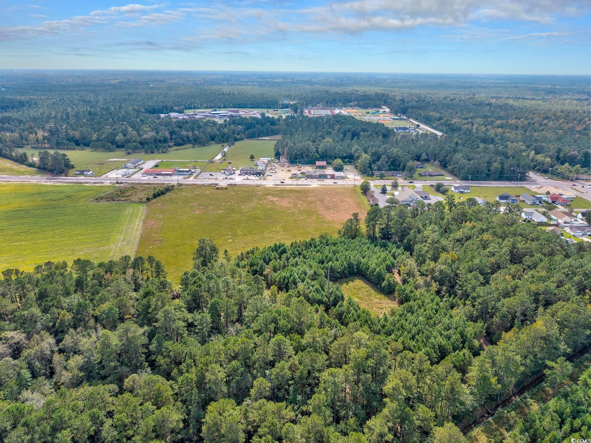 9 Highway 9 Business Loris, SC 29569 - Photo 13 of 24 Aerial view of property's location with a forest