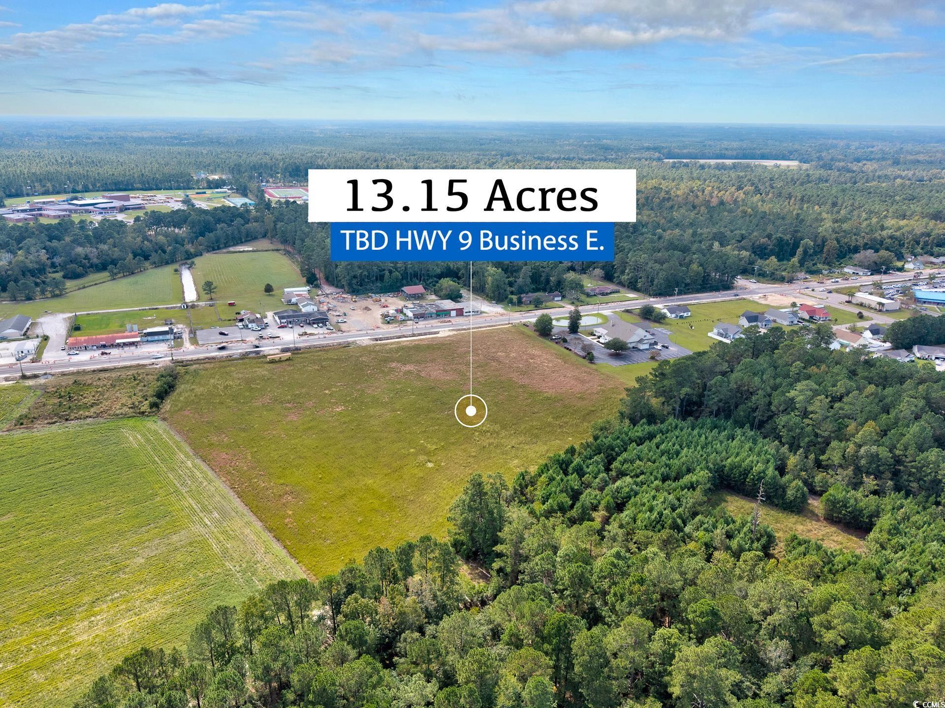 9 Highway 9 Business Loris, SC 29569 - Photo 14 of 24 Aerial overview of property's location with a heavily wooded area
