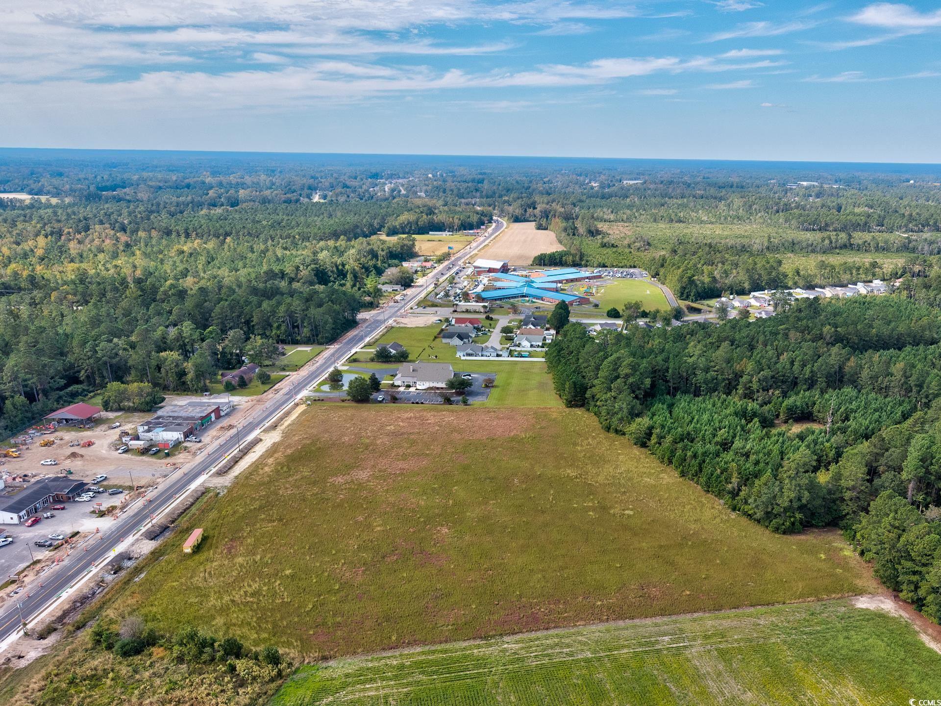 9 Highway 9 Business Loris, SC 29569 - Photo 16 of 24 Aerial overview of property's location featuring a forest