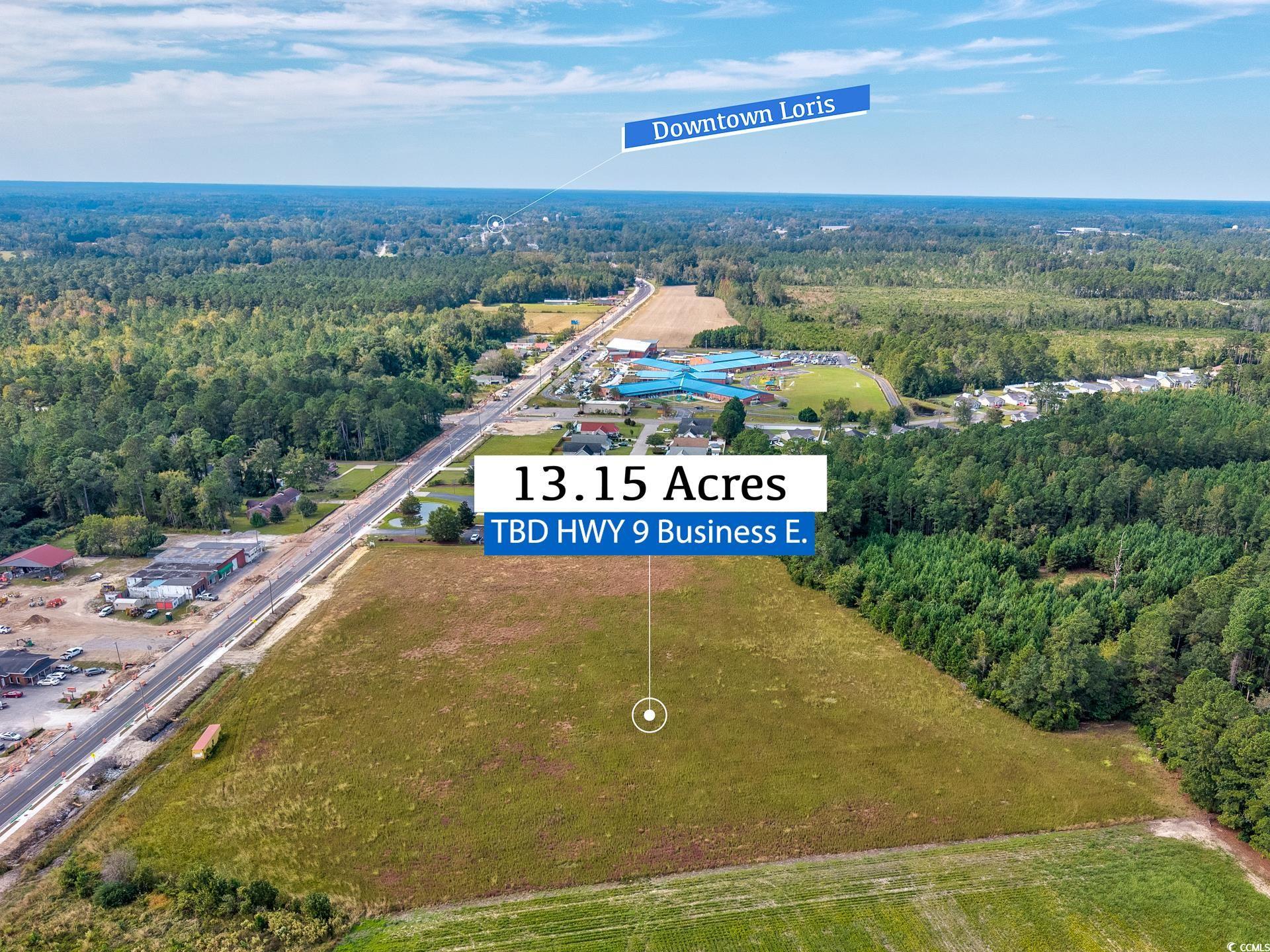 9 Highway 9 Business Loris, SC 29569 - Photo 17 of 24 View of property location with a heavily wooded area