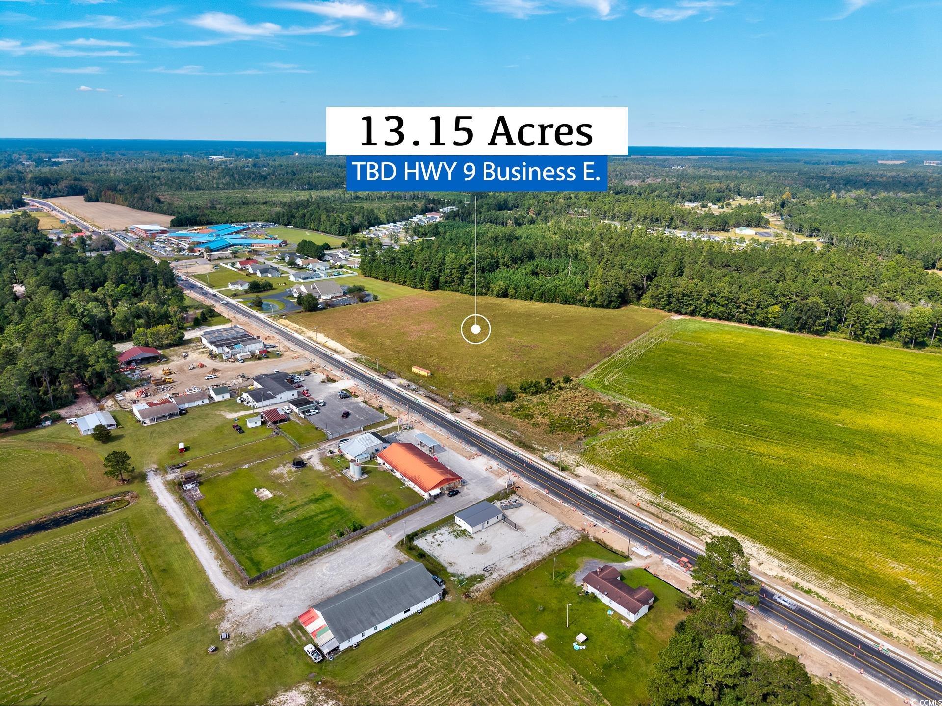 9 Highway 9 Business Loris, SC 29569 - Photo 18 of 24 Drone / aerial view of a heavily wooded area