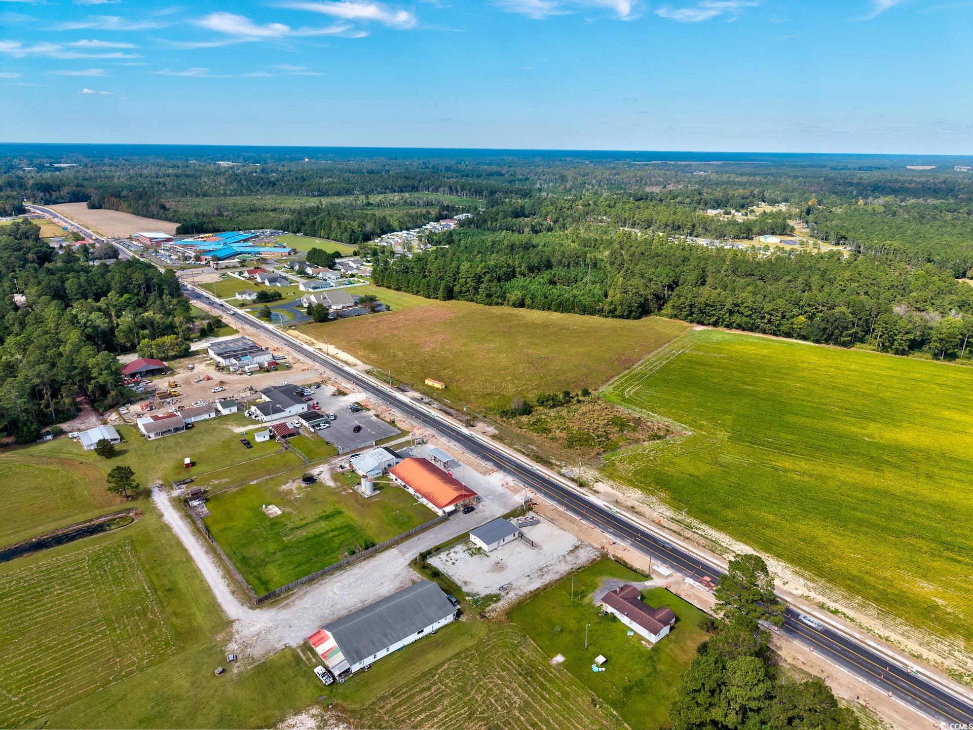9 Highway 9 Business Loris, SC 29569 - Photo 19 of 24 Aerial view of property and surrounding area featuring a forest