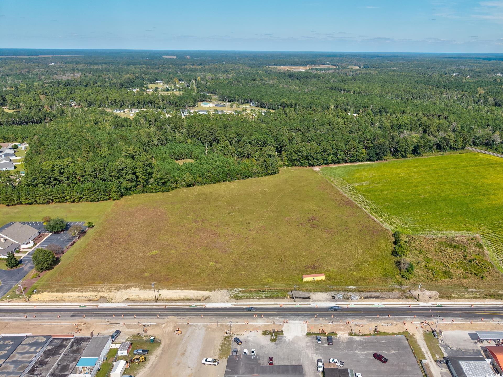 9 Highway 9 Business Loris, SC 29569 - Photo 5 of 24 Aerial view of a forest