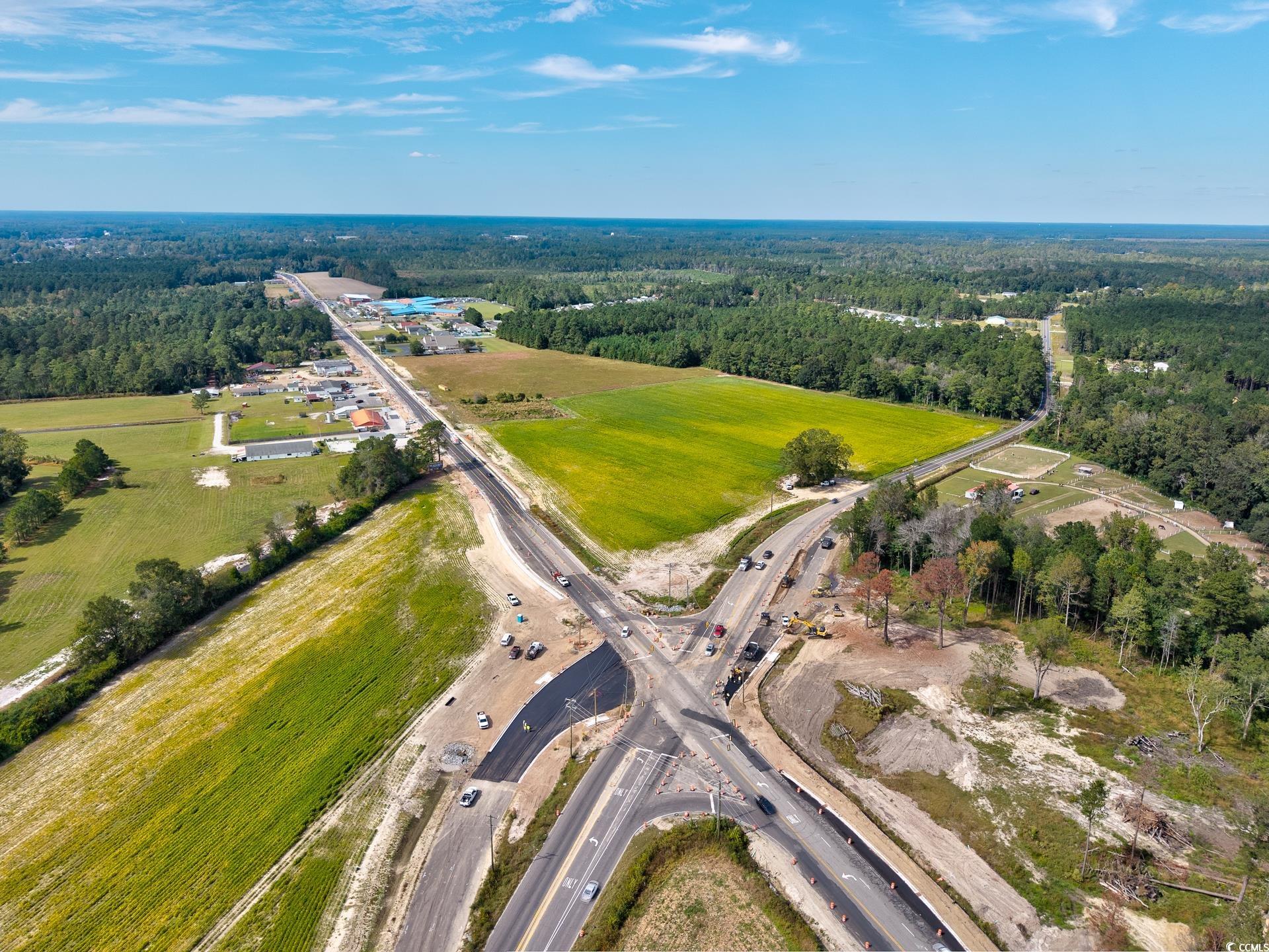 9 Highway 9 Business Loris, SC 29569 - Photo 8 of 24 View of property location with a forest