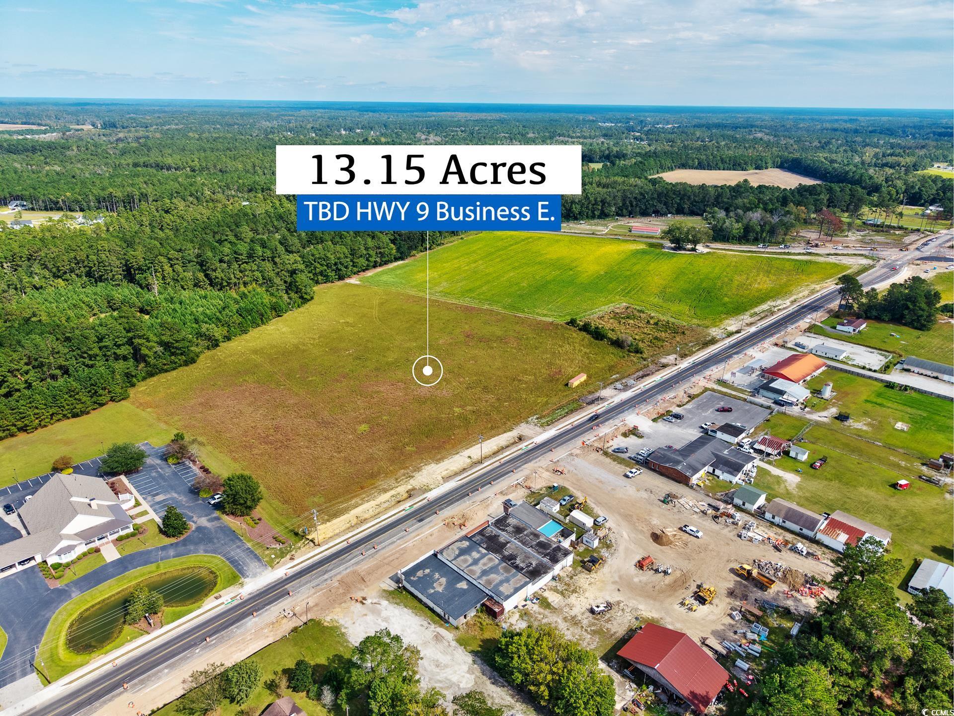 9 Highway 9 Business Loris, SC 29569 - Photo 9 of 24 Bird's eye view of a heavily wooded area