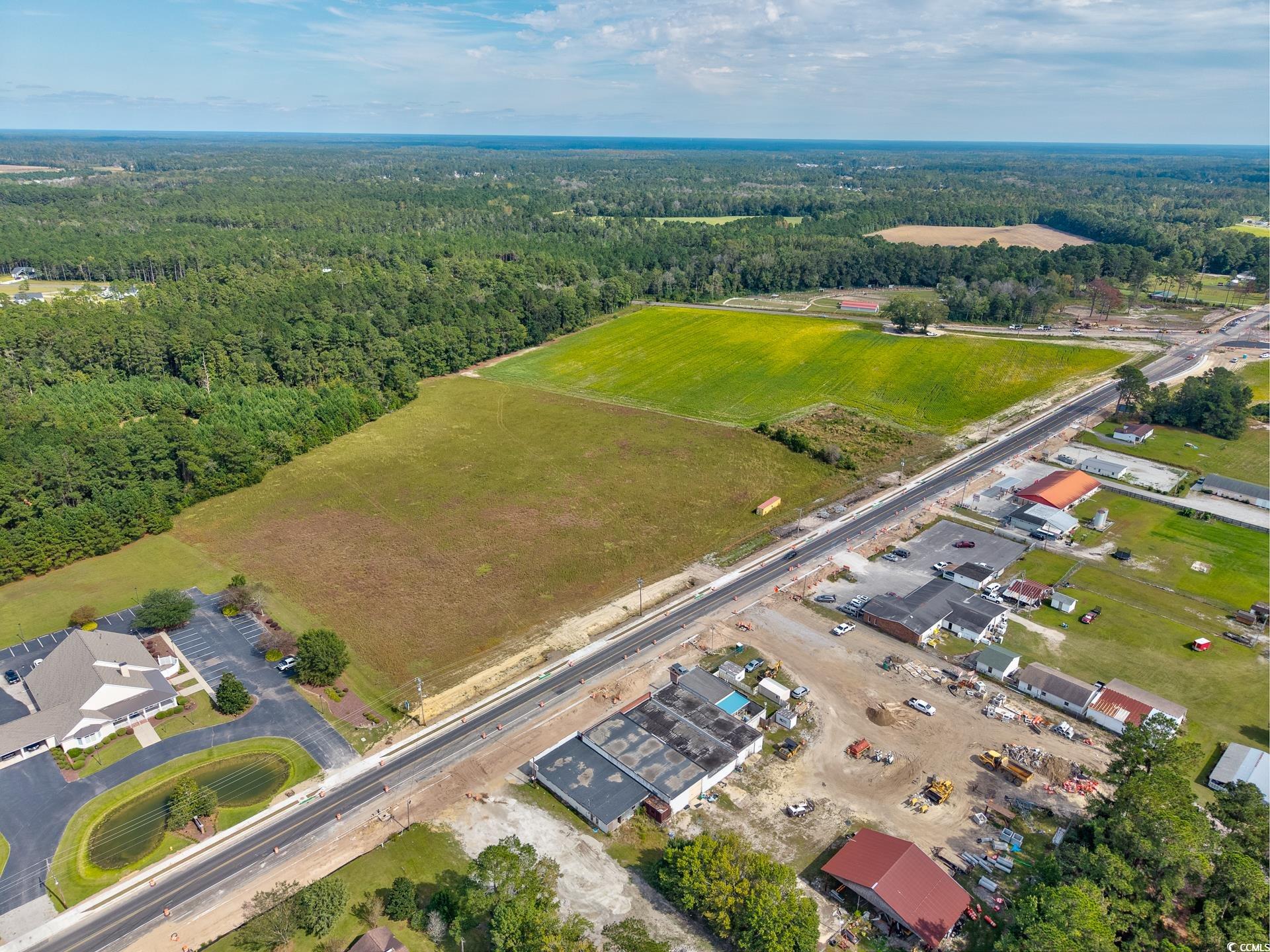 9 Highway 9 Business Loris, SC 29569 - Photo 10 of 24 View of property location with a heavily wooded area