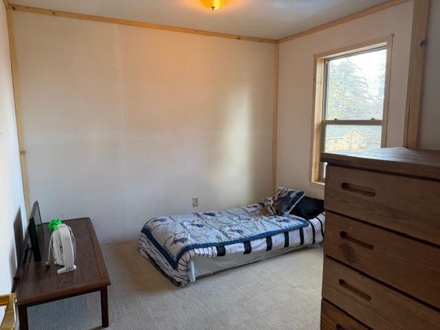 4074 Filter Road Harrison, MI 48625 - Photo 19 of 32 Gallery Image 19
