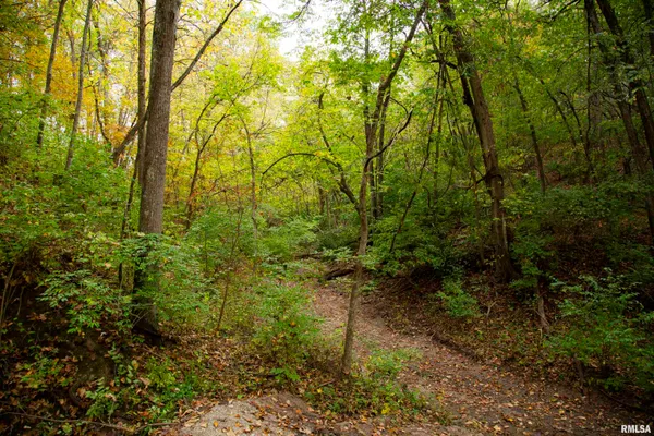 $1,900,000 | 1066 County Road 1150 North, Henry, IL 61537