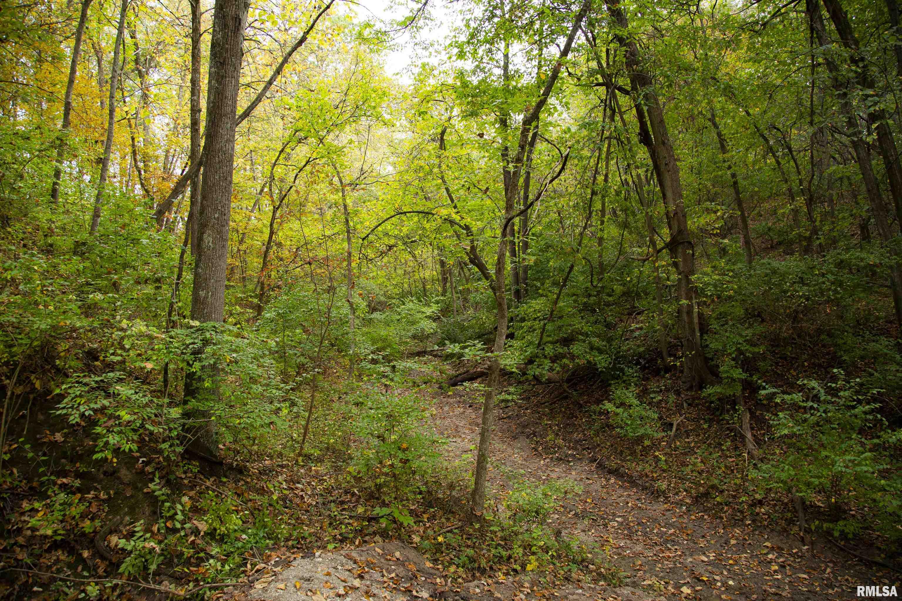 1066 County Road 1150 North Henry, IL 61537 - Photo 38 of 84