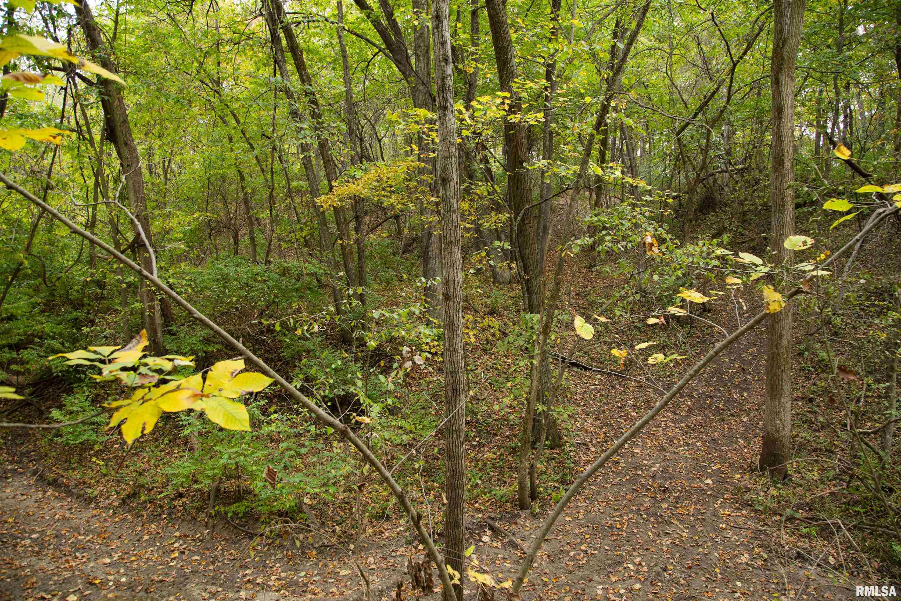 1066 County Road 1150 North Henry, IL 61537 - Photo 40 of 84