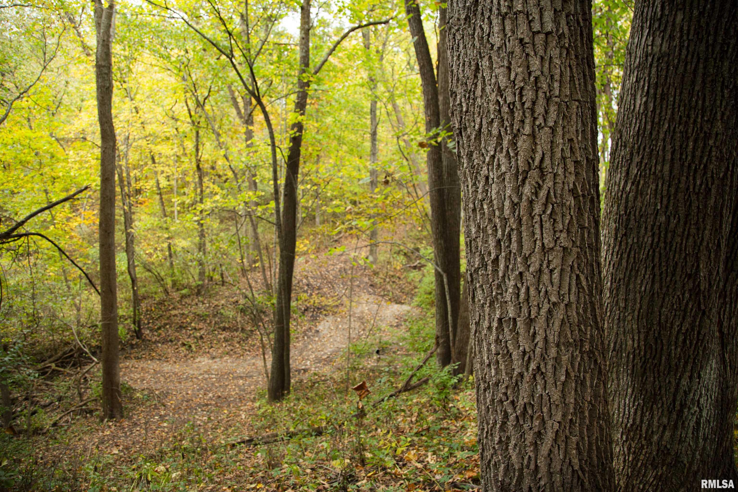 1066 County Road 1150 North Henry, IL 61537 - Photo 41 of 84