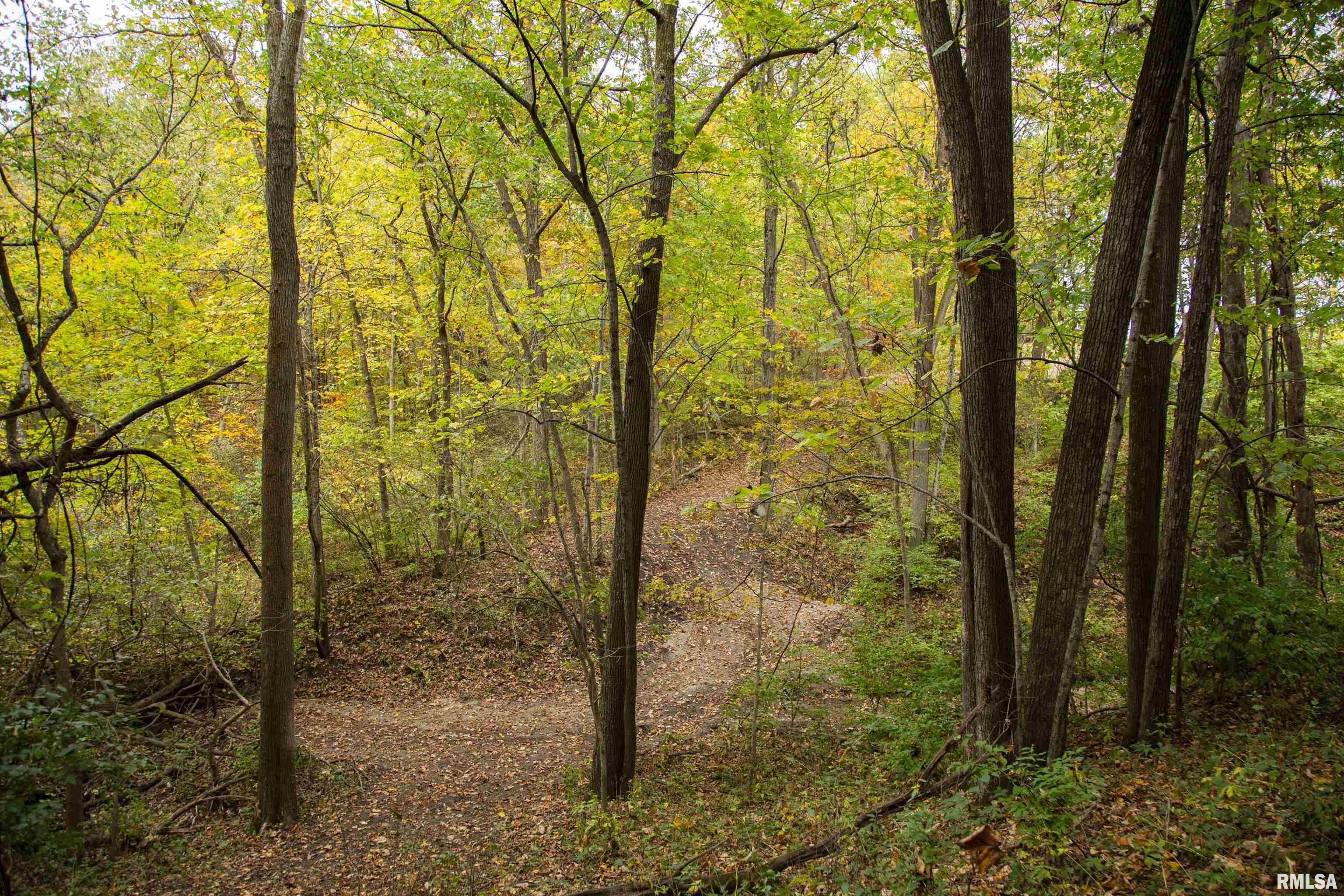 1066 County Road 1150 North Henry, IL 61537 - Photo 42 of 84