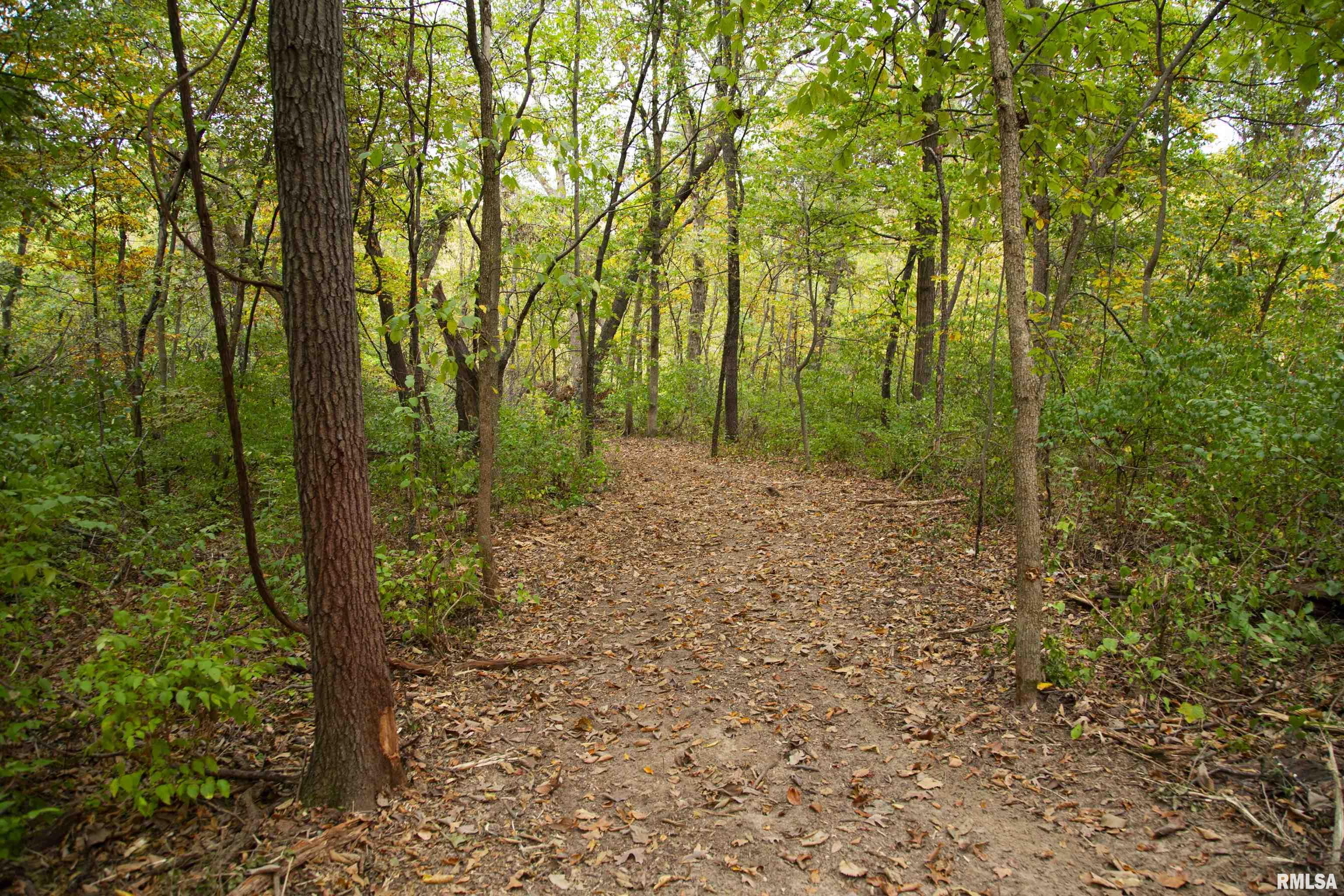 1066 County Road 1150 North Henry, IL 61537 - Photo 43 of 84