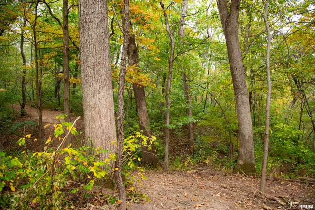 $2,100,000 | 1066 County Road 1150 North, Henry, IL 61537