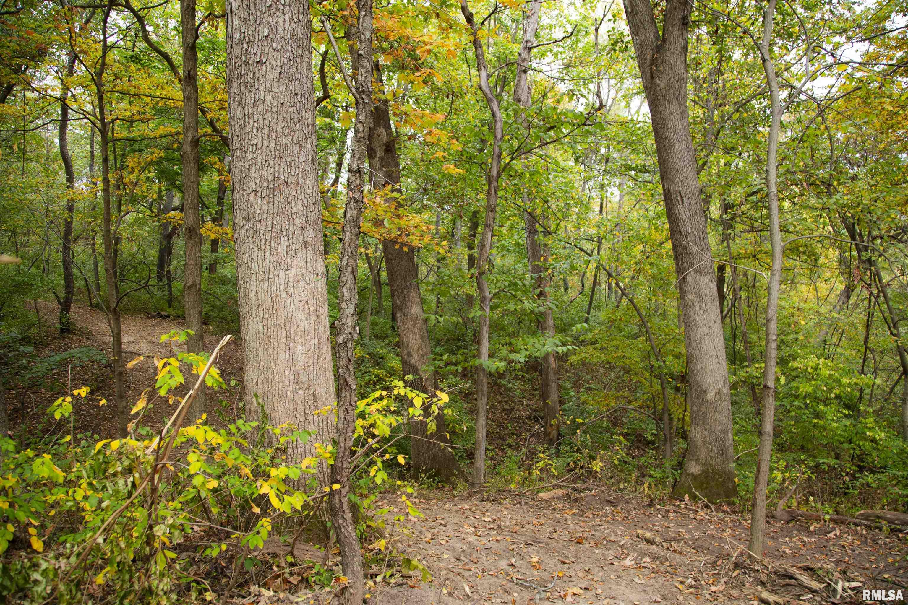 1066 County Road 1150 North Henry, IL 61537 - Photo 45 of 84