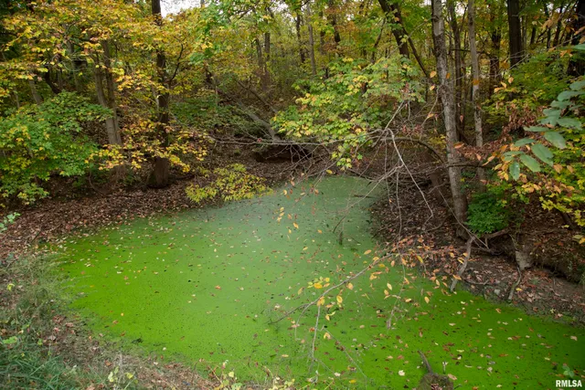 $2,100,000 | 1066 County Road 1150 North, Henry, IL 61537