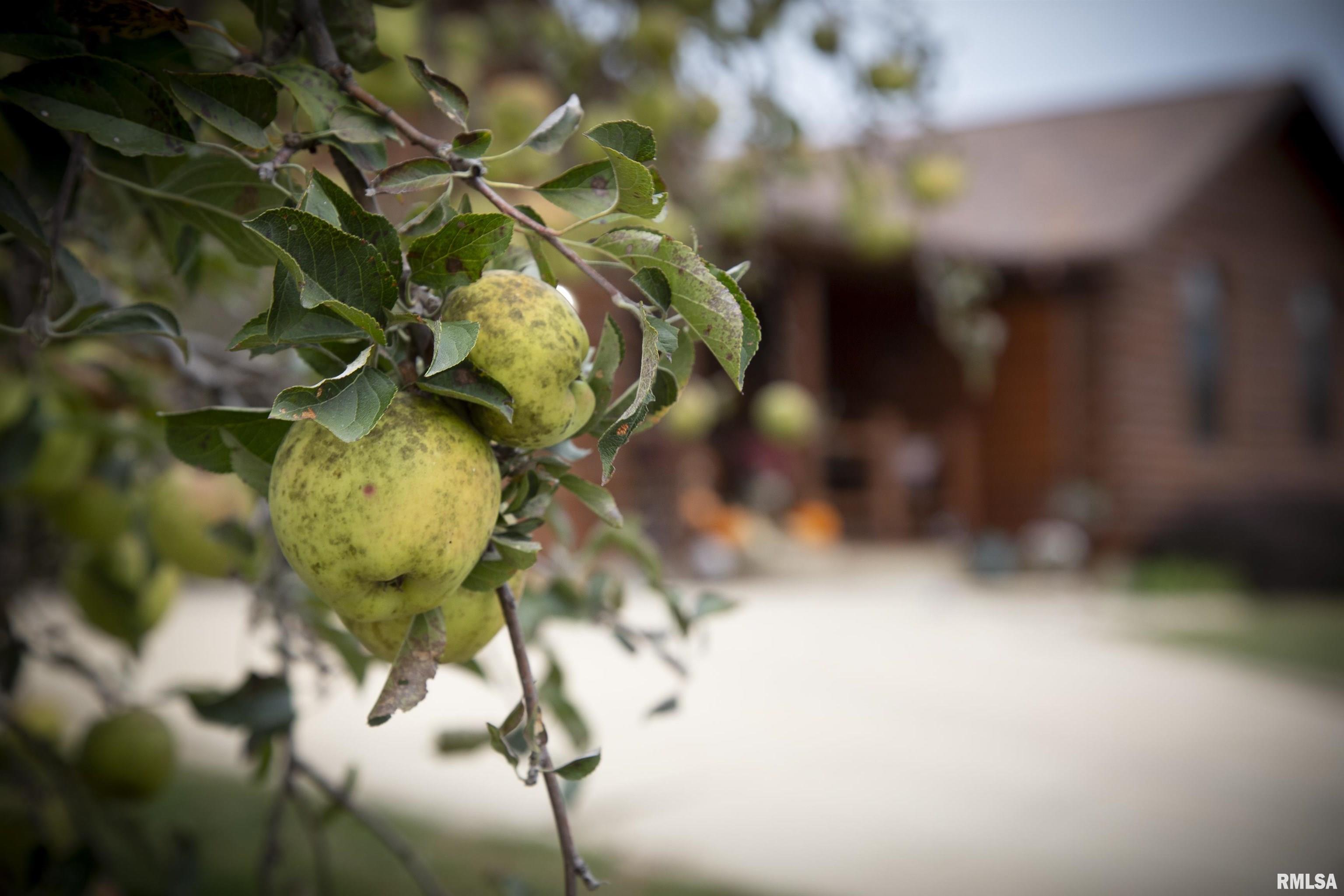 1066 County Road 1150 North Henry, IL 61537 - Photo 55 of 84