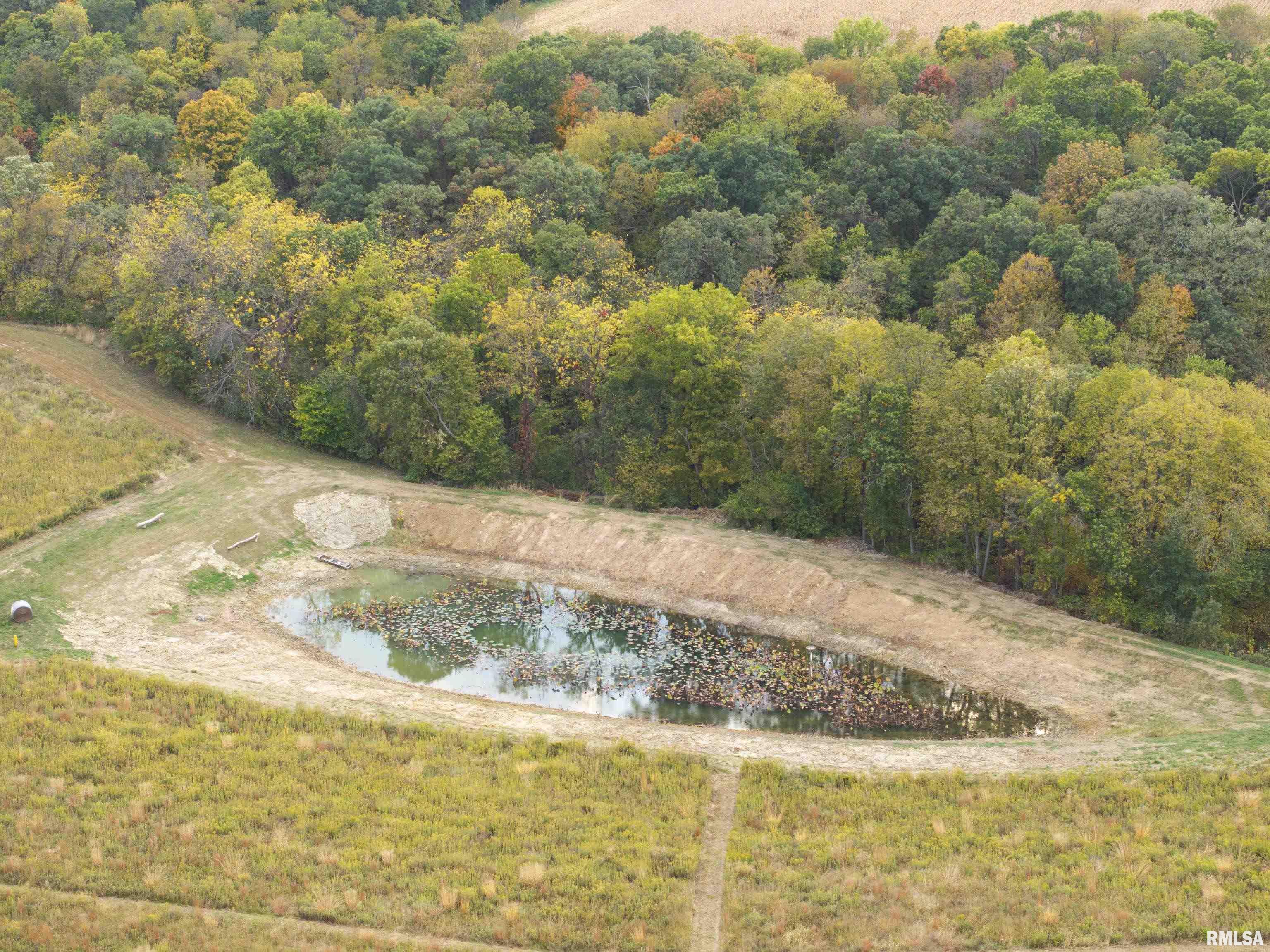 1066 County Road 1150 North Henry, IL 61537 - Photo 68 of 84