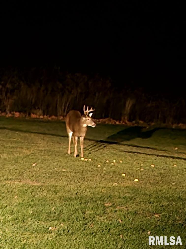 1066 County Road 1150 North Henry, IL 61537 - Photo 76 of 84