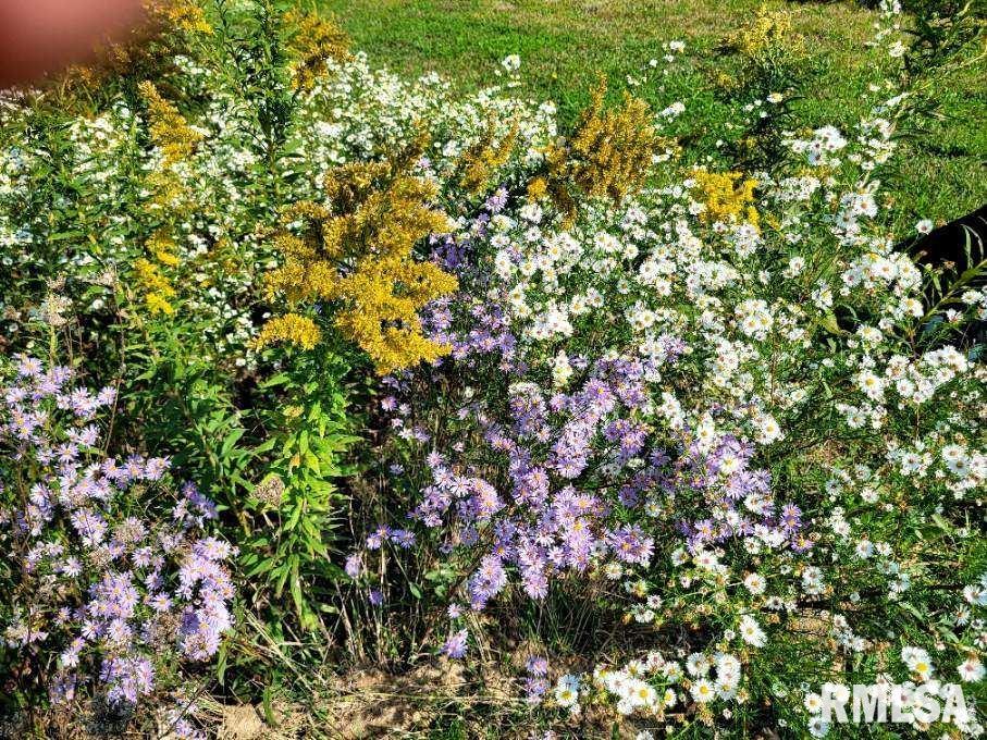 1066 County Road 1150 North Henry, IL 61537 - Photo 77 of 84