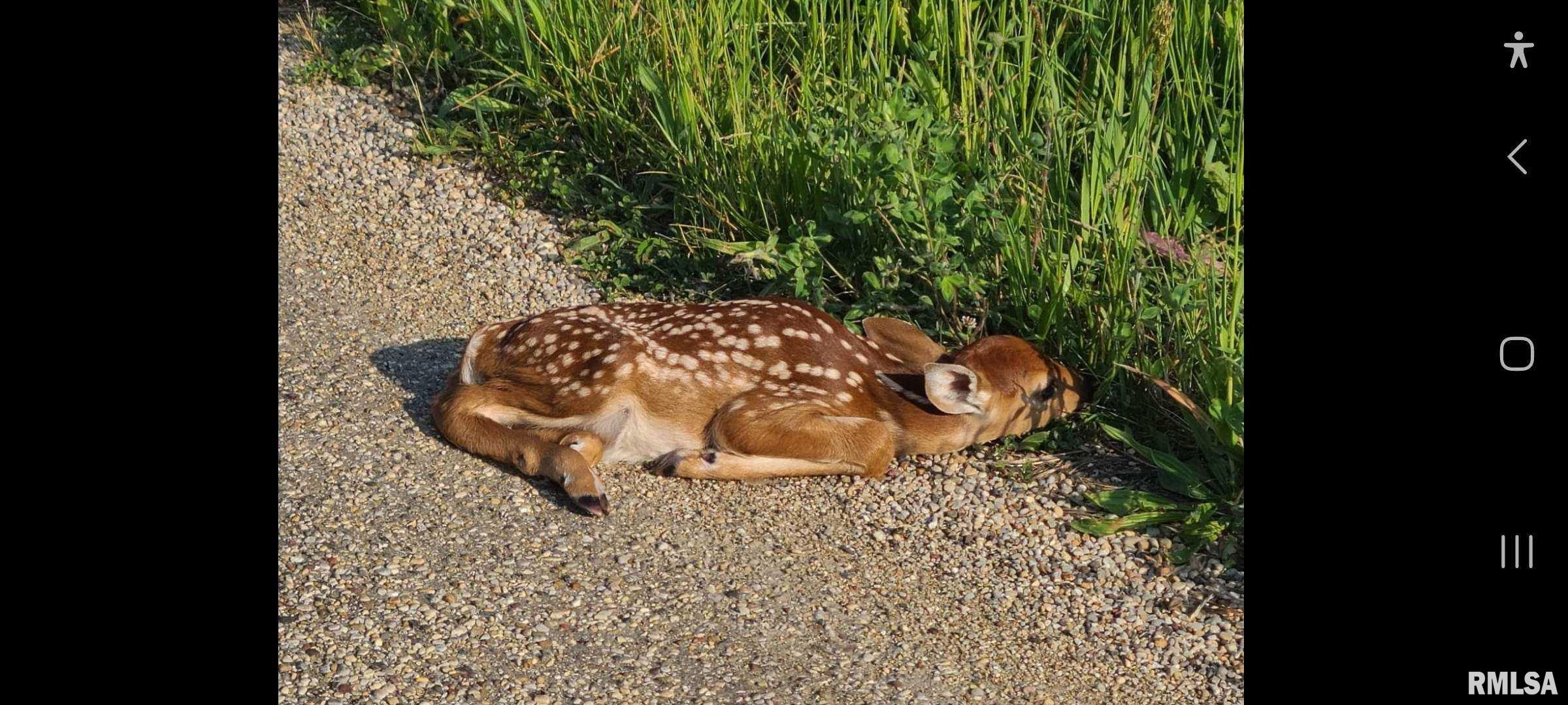 1066 County Road 1150 North Henry, IL 61537 - Photo 78 of 84