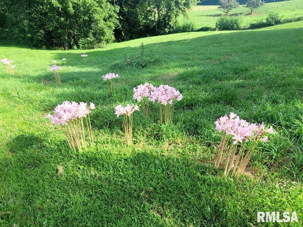 1066 County Road 1150 North Henry, IL 61537 - Photo 80 of 84