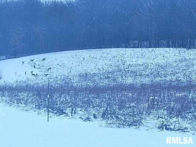 $2,100,000 | 1066 County Road 1150 North, Henry, IL 61537